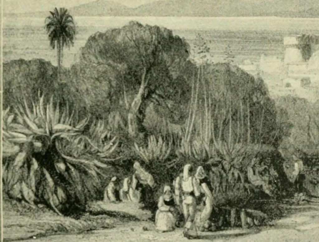 An illustration from Greek coins and their parent cities, 1902, leaf 282