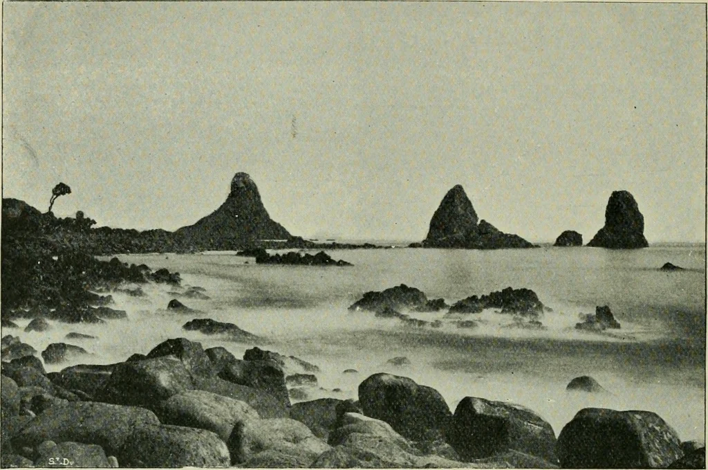 An illustration from Greek coins and their parent cities, 1902, leaf 295