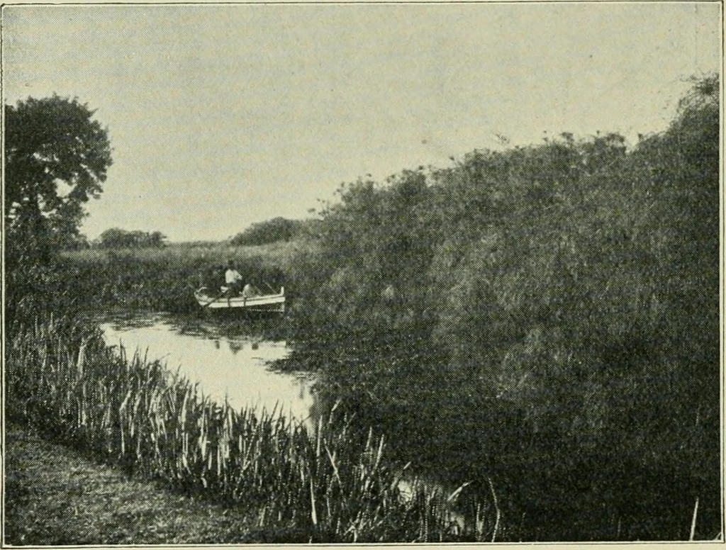 An illustration from Greek coins and their parent cities, 1902, leaf 315