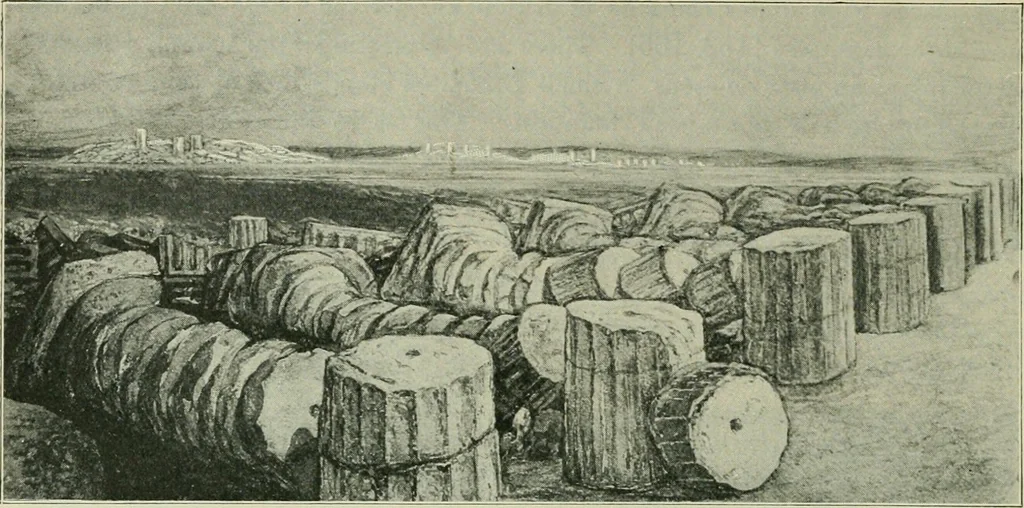 An illustration from Greek coins and their parent cities, 1902, leaf 325