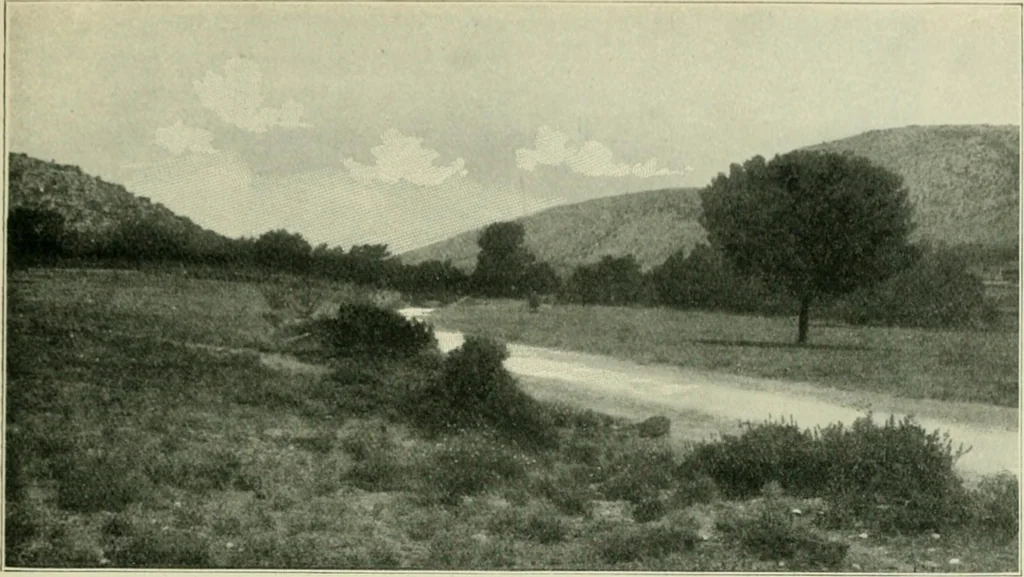 An illustration from Greek coins and their parent cities, 1902, leaf 376