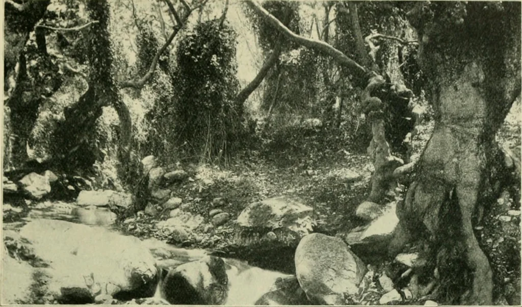 An illustration from Greek coins and their parent cities, 1902, leaf 406