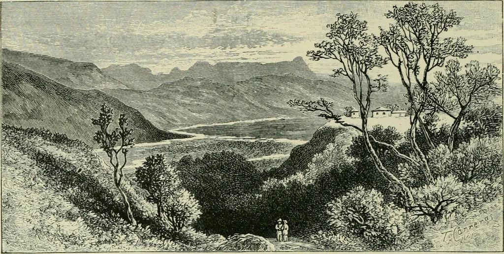 An illustration from Greek coins and their parent cities, 1902, leaf 415