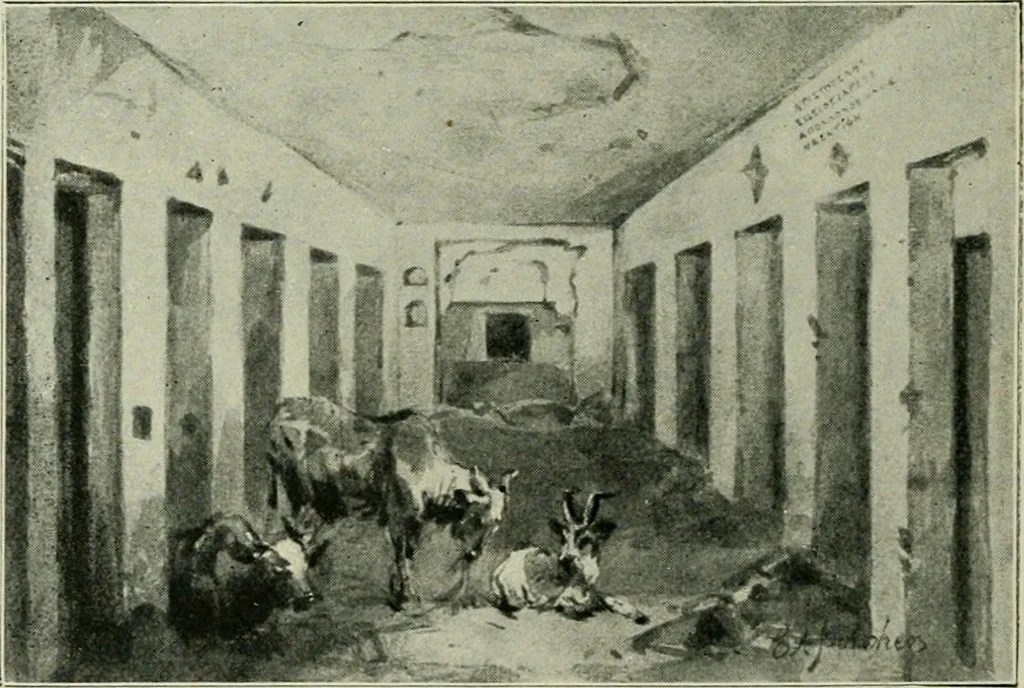 An illustration from Greek coins and their parent cities, 1902, leaf 445