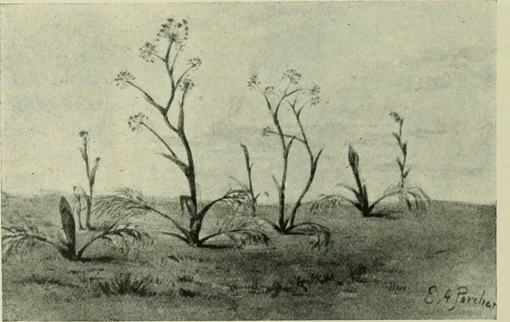An illustration from Greek coins and their parent cities, 1902, leaf 447
