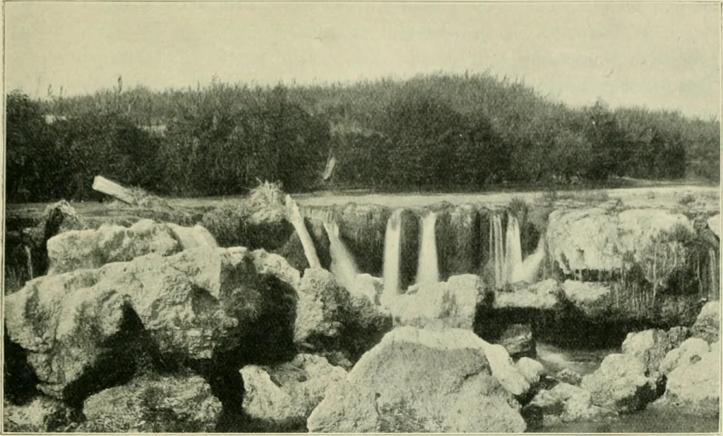 An illustration from Greek coins and their parent cities, 1902, leaf 482