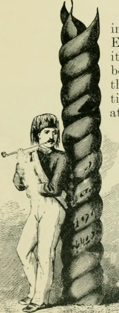 An illustration from Greek coins and their parent cities, 1902, leaf 562