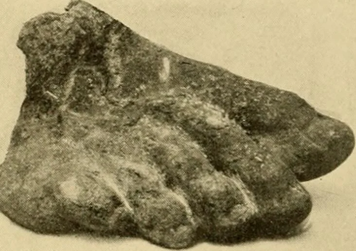 An illustration from Greek, Etruscan and Roman bronzes, 1915, leaf 189