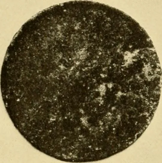 An illustration from Greek, Etruscan and Roman bronzes, 1915, leaf 315