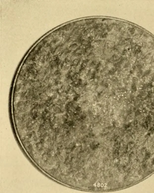 An illustration from Greek, Etruscan and Roman bronzes, 1915, leaf 315