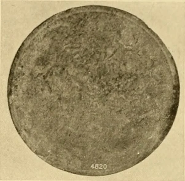 An illustration from Greek, Etruscan and Roman bronzes, 1915, leaf 336