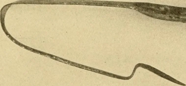 An illustration from Greek, Etruscan and Roman bronzes, 1915, leaf 342