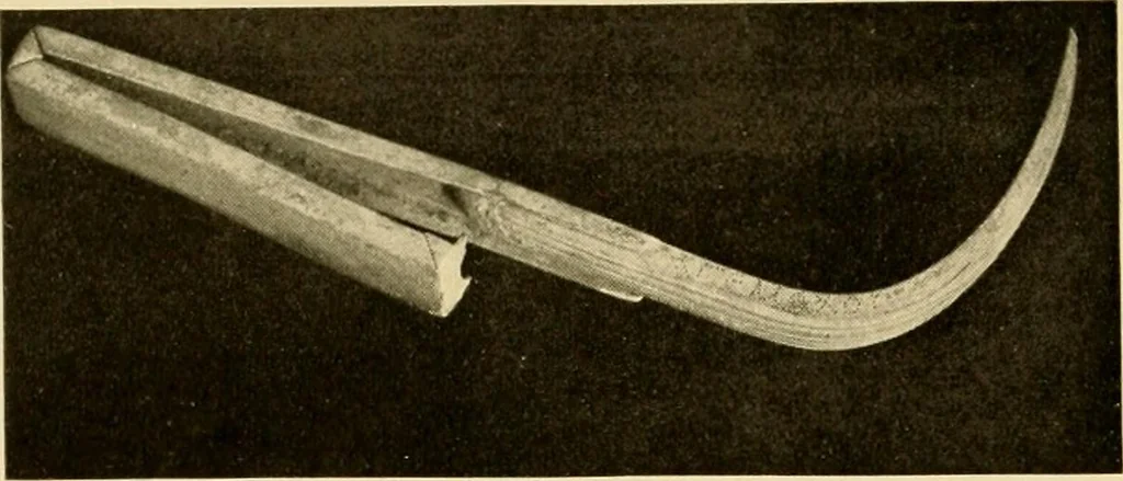 An illustration from Greek, Etruscan and Roman bronzes, 1915, leaf 343