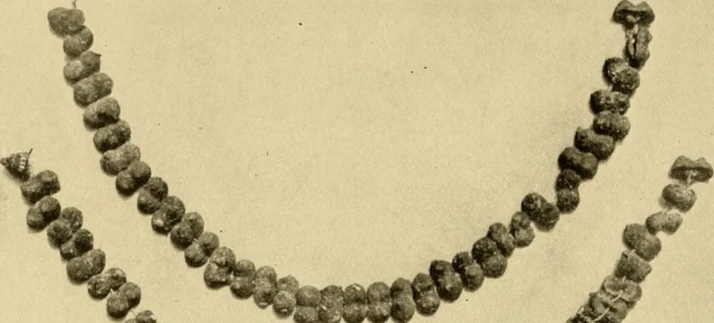 An illustration from Greek, Etruscan and Roman bronzes, 1915, leaf 383