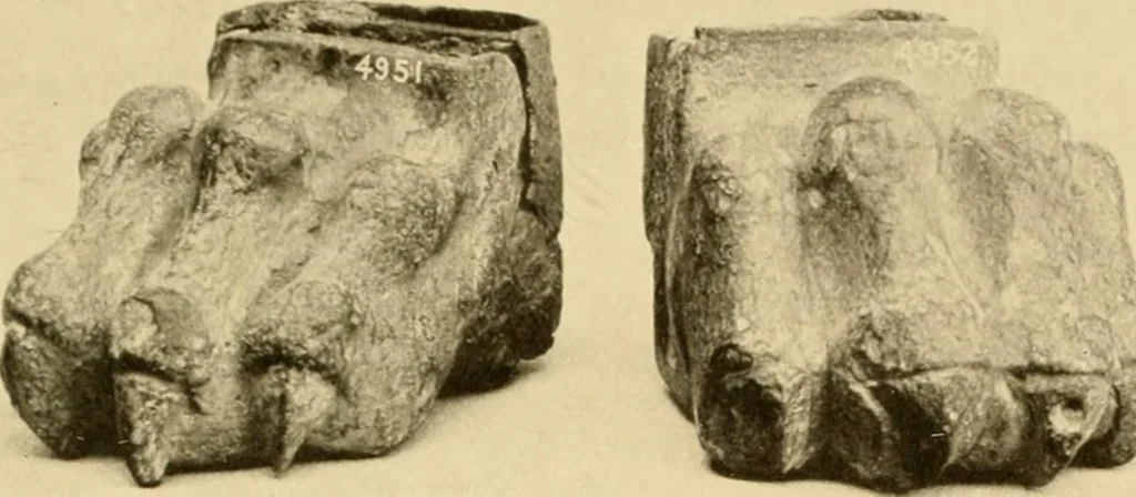 An illustration from Greek, Etruscan and Roman bronzes, 1915, leaf 398