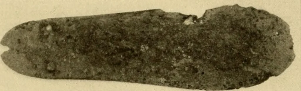 An illustration from Greek, Etruscan and Roman bronzes, 1915, leaf 439