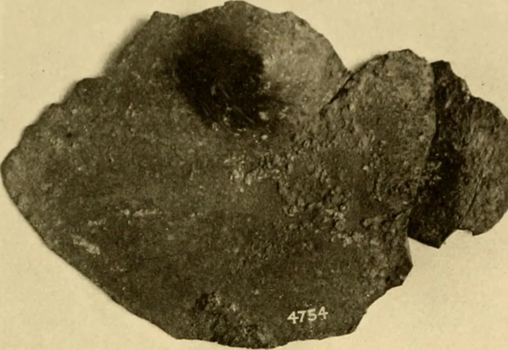 An illustration from Greek, Etruscan and Roman bronzes, 1915, leaf 456