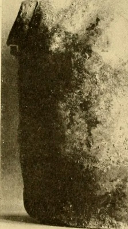 An illustration from Greek, Etruscan and Roman bronzes, 1915, leaf 470