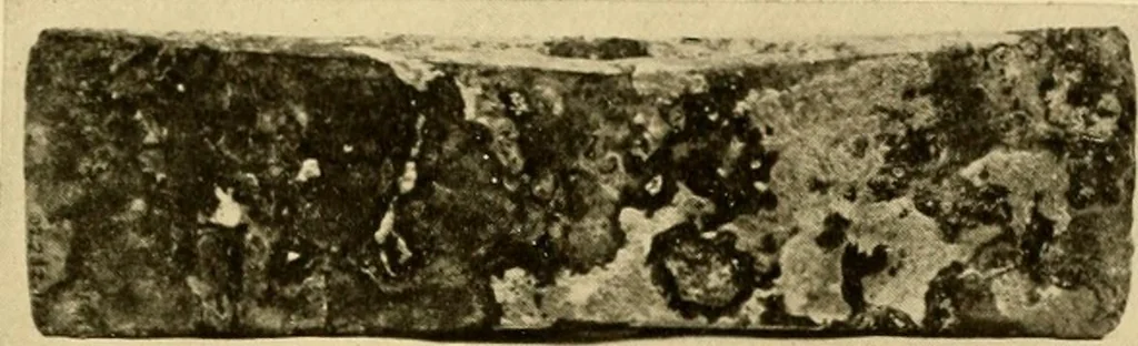 An illustration from Greek, Etruscan and Roman bronzes, 1915, leaf 478