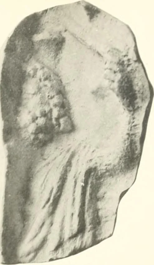 An illustration from Greek moulds, 1903, leaf 118