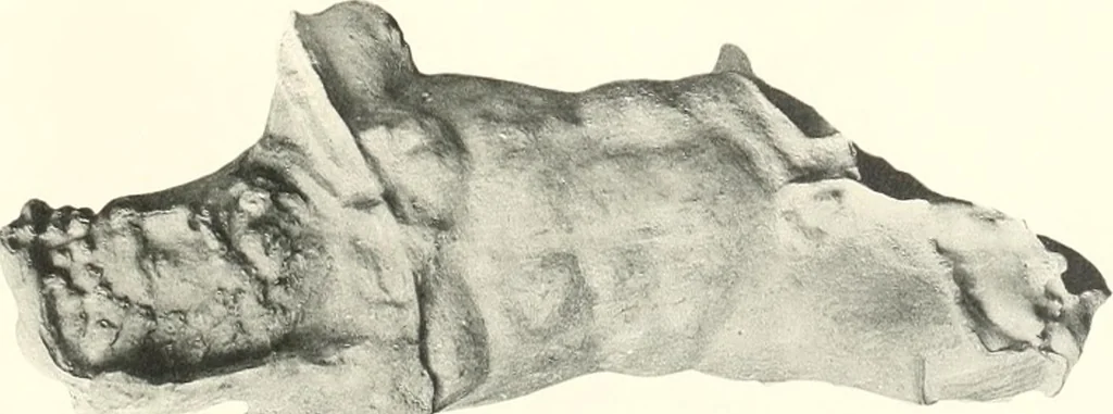 An illustration from Greek moulds, 1903, leaf 120