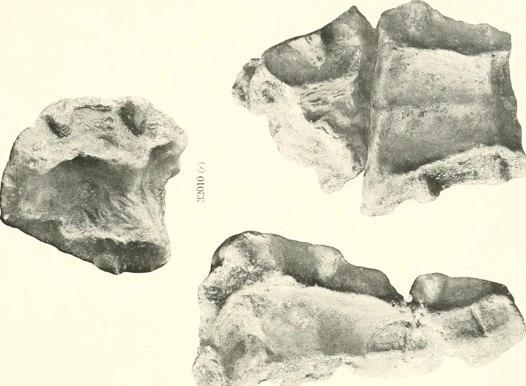 An illustration from Greek moulds, 1903, leaf 120