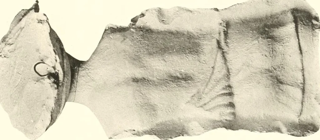 An illustration from Greek moulds, 1903, leaf 128