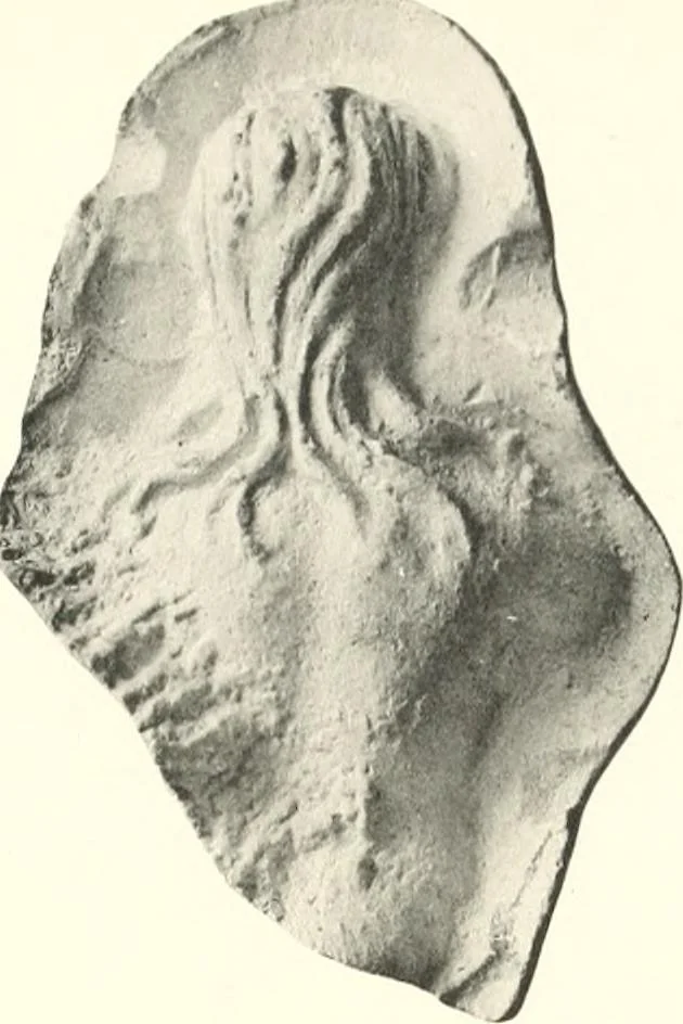 An illustration from Greek moulds, 1903, leaf 130
