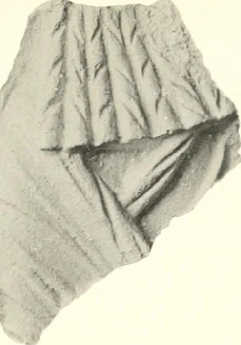 An illustration from Greek moulds, 1903, leaf 132