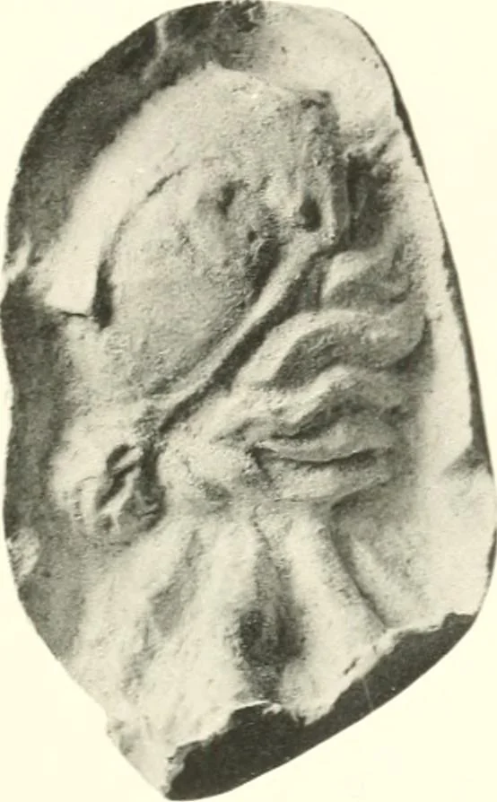 An illustration from Greek moulds, 1903, leaf 132