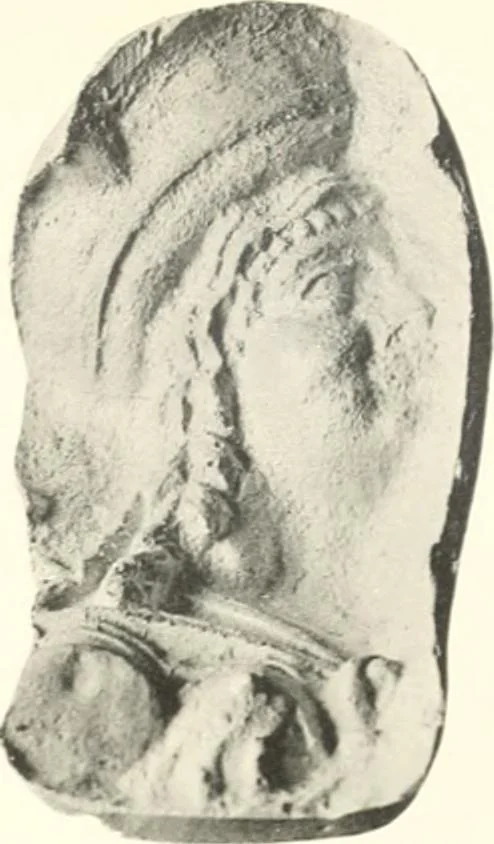An illustration from Greek moulds, 1903, leaf 132