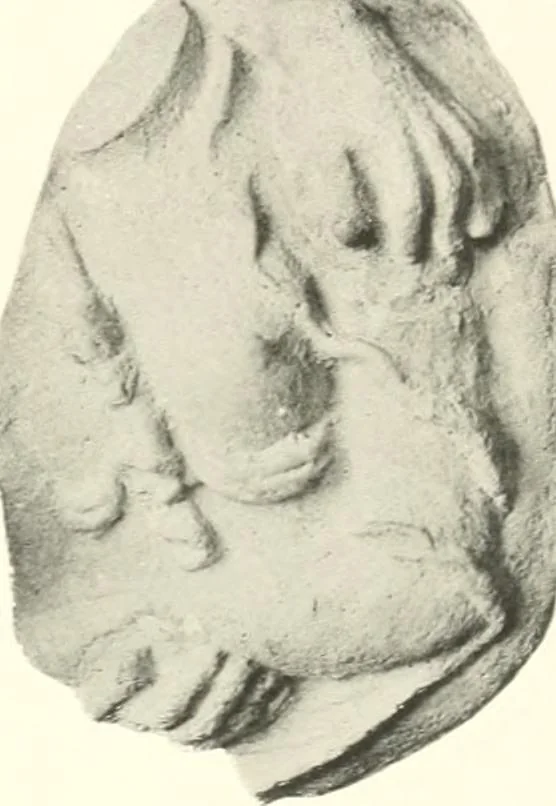 An illustration from Greek moulds, 1903, leaf 132