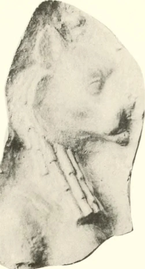 An illustration from Greek moulds, 1903, leaf 134
