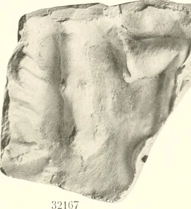 An illustration from Greek moulds, 1903, leaf 138