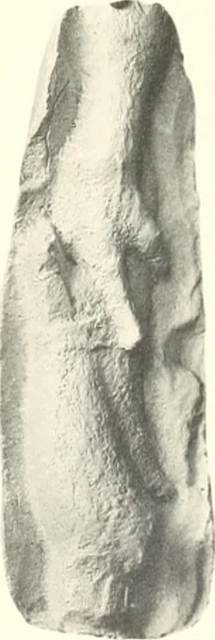 An illustration from Greek moulds, 1903, leaf 138