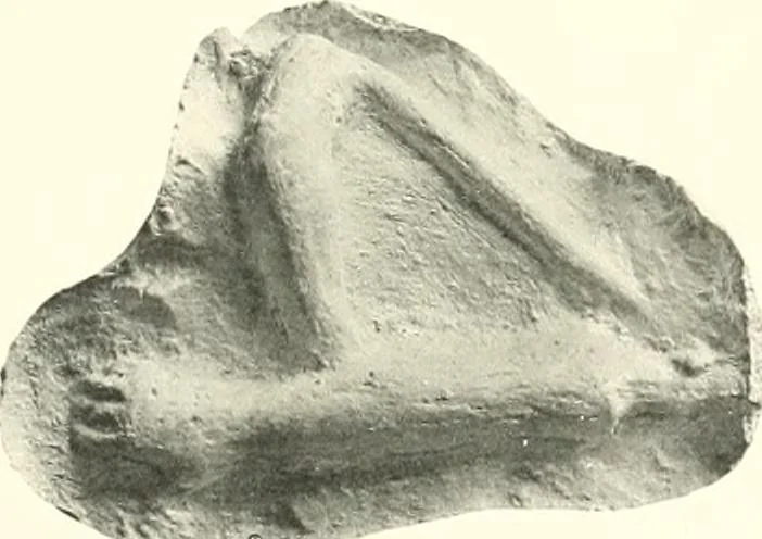 An illustration from Greek moulds, 1903, leaf 140