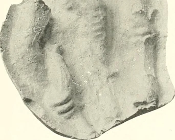 An illustration from Greek moulds, 1903, leaf 140