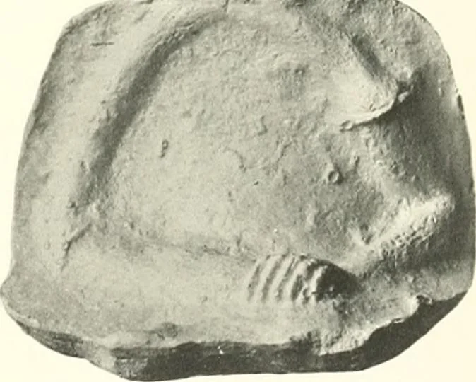 An illustration from Greek moulds, 1903, leaf 140
