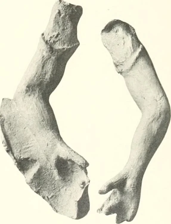 An illustration from Greek moulds, 1903, leaf 140