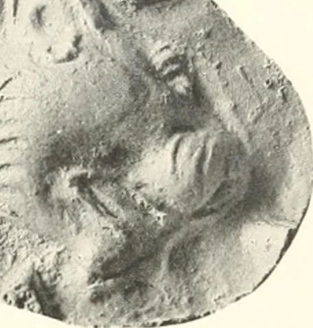 An illustration from Greek moulds, 1903, leaf 144