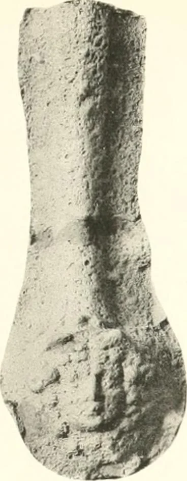 An illustration from Greek moulds, 1903, leaf 154
