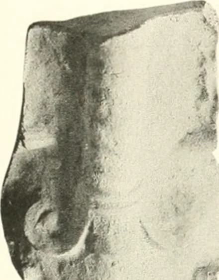 An illustration from Greek moulds, 1903, leaf 154
