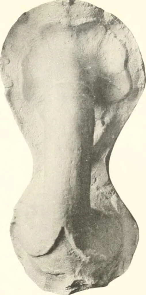 An illustration from Greek moulds, 1903, leaf 154