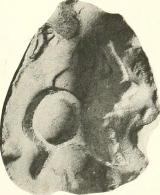 An illustration from Greek moulds, 1903, leaf 154