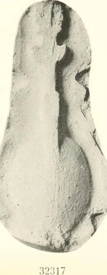 An illustration from Greek moulds, 1903, leaf 154