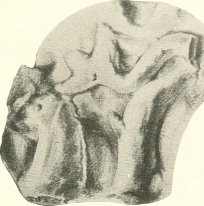 An illustration from Greek moulds, 1903, leaf 158