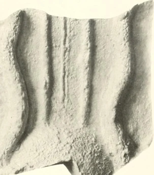 An illustration from Greek moulds, 1903, leaf 160