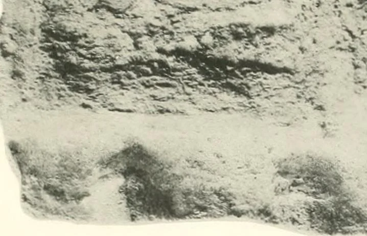 An illustration from Greek moulds, 1903, leaf 162