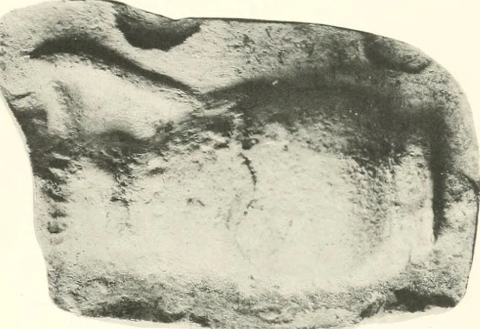 An illustration from Greek moulds, 1903, leaf 162