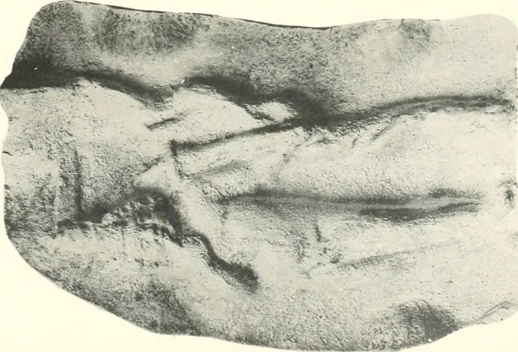 An illustration from Greek moulds, 1903, leaf 162